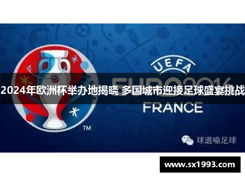 2024年欧洲杯举办地揭晓 多国城市迎接足球盛宴挑战